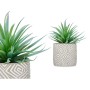 Plante décorative Ibergarden QY-H012 Bois Plastique Ciment Succulent 17 x 21 x 17 cm (8 Unités): Plus de 300.000 produits de gra