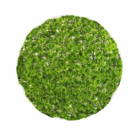 Plante décorative Ballon Mousse 30 x 30 x 30 cm: Plus de 300.000 produits de grandes marques en vente directe à prix usine sur