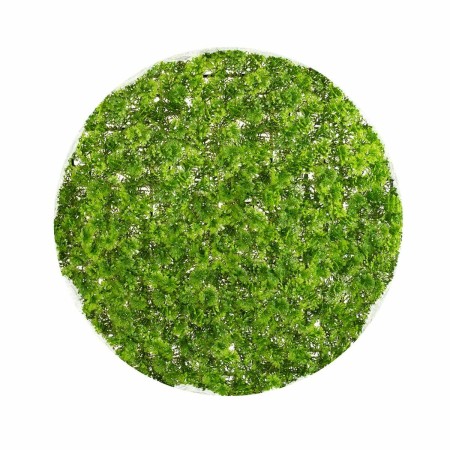 Plante décorative Ballon Mousse 30 x 30 x 30 cm: Plus de 300.000 produits de grandes marques en vente directe à prix usine sur