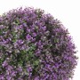 Plante décorative Ballon Lavande Plastique 40 x 40 x 40 cm: Plus de 300.000 produits de grandes marques en vente directe à pri