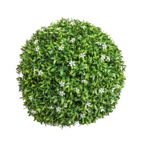 Plante décorative Ballon Fleur d'oranger 30 x 30 x 30 cm: Plus de 300.000 produits de grandes marques en vente directe à prix 