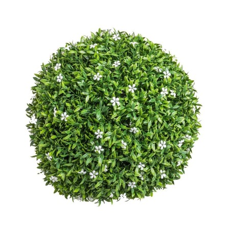 Plante décorative Ballon Fleur d'oranger 30 x 30 x 30 cm: Plus de 300.000 produits de grandes marques en vente directe à prix 