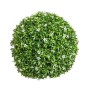 Plante décorative Ballon Fleur d'oranger 30 x 30 x 30 cm: Plus de 300.000 produits de grandes marques en vente directe à prix 