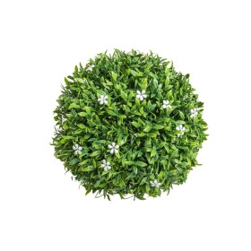 Plante décorative Ballon Fleur d'oranger 20 x 20 x 20 cm: Plus de 300.000 produits de grandes marques en vente directe à prix 
