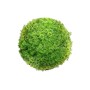 Plante décorative Ballon Mousse 20 x 20 x 20 cm: Plus de 300.000 produits de grandes marques en vente directe à prix usine sur