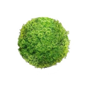 Plante décorative Ballon Mousse 20 x 20 x 20 cm: Plus de 300.000 produits de grandes marques en vente directe à prix usine sur