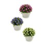 Plante décorative Ibergarden A16120-094 Plastique Fleurs 14 x 12,5 x 14 cm (12 Unités): Plus de 300.000 produits de grandes marq