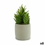 Plante décorative Ibergarden YCX17941 Plastique Succulent 12 x 24 x 12 cm (6 Unités): Plus de 300.000 produits de grandes marque