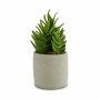 Plante décorative Ibergarden YCX17941 Plastique Succulent 12 x 24 x 12 cm (6 Unités): Plus de 300.000 produits de grandes marque