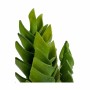 Plante décorative Ibergarden YCX17941 Plastique Succulent 12 x 24 x 12 cm (6 Unités): Plus de 300.000 produits de grandes marque
