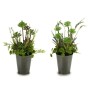 Plante décorative Ibergarden XD16-819 Liège Plastique Fleurs Campagne 20 x 41 x 20 cm (6 Unités): Plus de 300.000 produits de gr