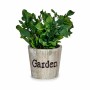 Plante décorative Ibergarden XD16-710 Plastique 16 x 22 x 16 cm (12 Unités): Plus de 300.000 produits de grandes marques en vent