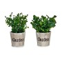 Plante décorative Ibergarden XD16-710 Plastique 16 x 22 x 16 cm (12 Unités): Plus de 300.000 produits de grandes marques en vent