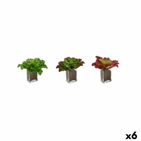 Plante décorative Ibergarden YD180208 Plastique Volets Grand 31 x 24 x 31 cm Bicolore (6 Unités): Plus de 300.000 produits de gr