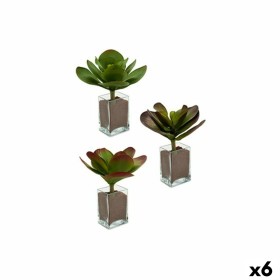 Plante décorative Ibergarden YD0001 Plastique Volets Grand 27 x 29 x 27 cm Bicolore (6 Unités): Plus de 300.000 produits de gran