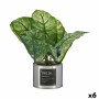 Plante décorative Ibergarden HY2-90 Métal Plastique Caladium 26 x 26 x 26 cm (6 Unités): Plus de 300.000 produits de grandes mar