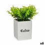 Plante décorative Ibergarden HY2-39 Plastique Ciment Volets Petit 13 x 18 x 13 cm (6 Unités): Plus de 300.000 produits de grande