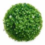 Plante décorative Ibergarden 555 Plastique Fleurs Volets Ballon 22 x 22 x 22 cm (8 Unités): Plus de 300.000 produits de grandes 