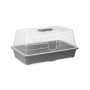 Serre Ibergarden FYT2058102 Gris Transparent Plastique 38,4 x 17,5 x 24,7 cm (8 Unités): Plus de 300.000 produits de grandes mar