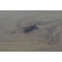 Table de Salle à Manger DKD Home Decor Blanc Marron Bois d'acacia Bois de manguier 200 x 100 x 80 cm: Plus de 300.000 produits d