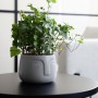 Cache-pot Vinthera Moa Gris foncé Céramique 12,5 x 10,5 cm: Plus de 300.000 produits de grandes marques en vente directe à prix 