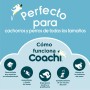 Jouet d'entraînement Coachi Bells Bleu: Plus de 300.000 produits de grandes marques en vente directe à prix usine sur cadeaufou.