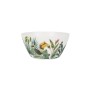 Bol Alfares Mélamine Jungle 15 x 7 cm (24 Unités): Plus de 300.000 produits de grandes marques en vente directe à prix usine sur