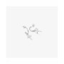 Boucles d´oreilles Femme Radiant RY000132 Acier inoxydable 2 cm: Plus de 300.000 produits de grandes marques en vente directe à 