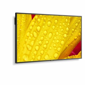 Écran NEC 60005048 43 4K Ultra HD LED 43 IPS 50-60 Hz: Plus de 300.000 produits de grandes marques en vente directe à prix usin