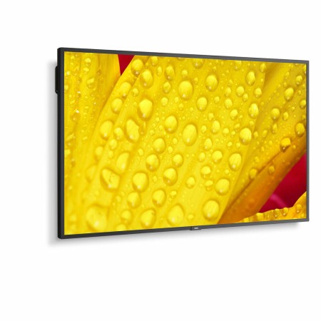 Écran NEC 60005048 43 4K Ultra HD LED 43 IPS 50-60 Hz: Plus de 300.000 produits de grandes marques en vente directe à prix usin