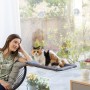 Hamac Suspendu pour Chats Catlax InnovaGoods: Plus de 300.000 produits de grandes marques en vente directe à prix usine sur cade