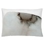 Housse de coussin Naturals Pebble (50 x 30 cm): Plus de 300.000 produits de grandes marques en vente directe à prix usine sur ca