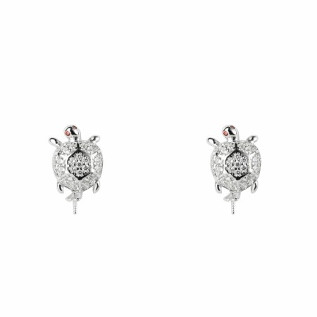 Boucles d´oreilles Femme Lancaster JLA-EAR-TURTLE-1 1,2 cm: Plus de 300.000 produits de grandes marques en vente directe à prix 