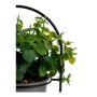 Plante décorative Ibergarden QY-H093 Métal Plastique 21 x 30 x 21 cm Avec support Gris: Plus de 300.000 produits de grandes marq