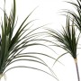 Plante décorative Ibergarden BRS-ADE175 Plastique Câble de fer Lame étroite 80 x 140 x 85 cm: Plus de 300.000 produits de grande
