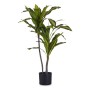 Plante décorative Ibergarden BRS-ADK104 Plastique Câble de fer Lame large 60 x 90 x 60 cm: Plus de 300.000 produits de grandes m