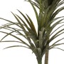 Plante décorative Ibergarden BRS-ADE179 Plastique Câble de fer Lame étroite 80 x 150 x 105 cm: Plus de 300.000 produits de grand