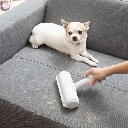 Rouleau Anti-poil d’Animaux Rellair InnovaGoods: Plus de 300.000 produits de grandes marques en vente directe à prix usine sur c