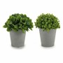 Plante décorative Ibergarden A18124-128-1 Plastique 13 x 17 x 13 cm (12 Unités): Plus de 300.000 produits de grandes marques en 