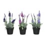 Plante décorative 25 cm PVC Lavande: Plus de 300.000 produits de grandes marques en vente directe à prix usine sur cadeaufou.com