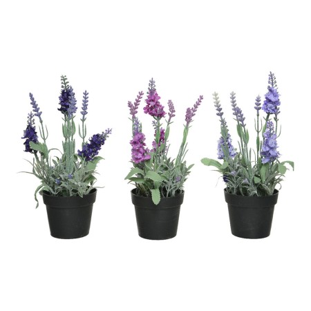 Plante décorative 25 cm PVC Lavande: Plus de 300.000 produits de grandes marques en vente directe à prix usine sur cadeaufou.com