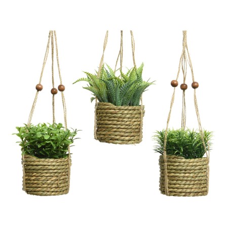 Plante décorative Everlands 8 x 12 cm Pendentif Corde Vert PVC: Plus de 300.000 produits de grandes marques en vente directe à p