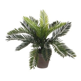 Plante décorative Mica Decorations Céramique Palmier (11,5 x 33 cm): Plus de 300.000 produits de grandes marques en vente direct