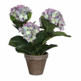 Plante décorative Mica Decorations Magnolia 35 x 40 cm: Plus de 300.000 produits de grandes marques en vente directe à prix usin