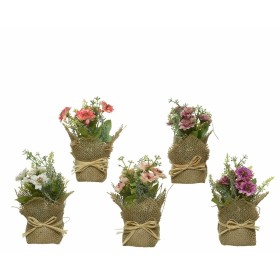 Plante décorative Ø 7 x 17 cm: Plus de 300.000 produits de grandes marques en vente directe à prix usine sur cadeaufou.com. Labe