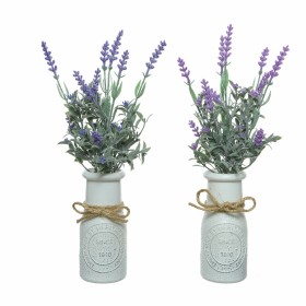 Plante décorative Everlands Pot Lavande (Ø 13 x 32 cm): Plus de 300.000 produits de grandes marques en vente directe à prix usin