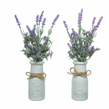 Plante décorative Everlands Pot Lavande (Ø 13 x 32 cm): Plus de 300.000 produits de grandes marques en vente directe à prix usin
