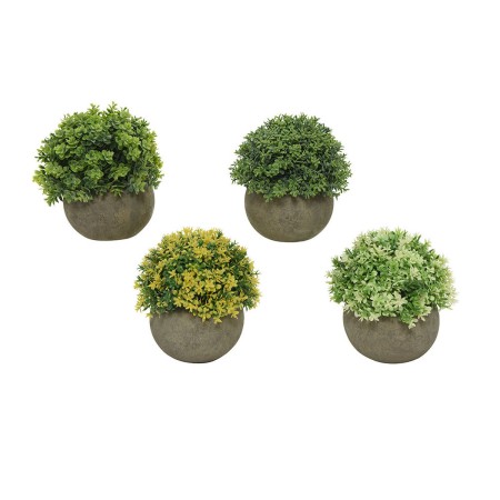 Plante décorative Everlands Ø 12 cm Pot Plastique: Plus de 300.000 produits de grandes marques en vente directe à prix usine sur