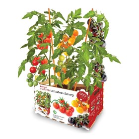 Set de culture Batlle Tomates naturelles 30 x 19,5 x 16,2 cm: Plus de 300.000 produits de grandes marques en vente directe à pri