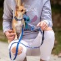 Collier pour Chien Stitch Bleu foncé S/M: Plus de 300.000 produits de grandes marques en vente directe à prix usine sur cadeaufo